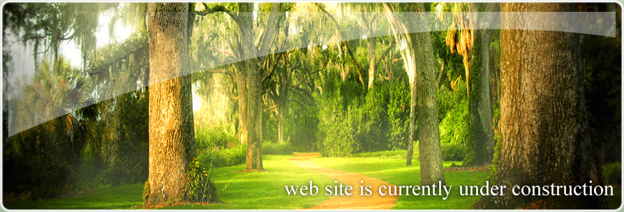 Web site is currently under construction
